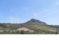 Locri