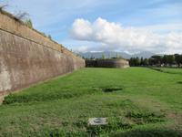 Lucca Stadtmauer