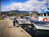 Marina di Campo, Hafen