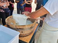 Masseria im Itratal, Vorführung der Mozzarellaherstellung