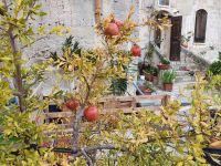 Matera, Granatäpfel