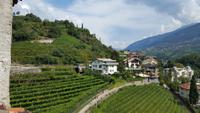 Meran