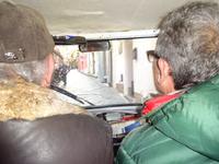Microtaxi Procida