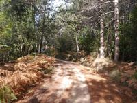 Monte Limbara
