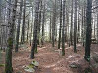 Monte Limbara