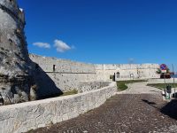 Monte San Angelo, Castel