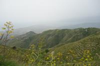 Monte Venere