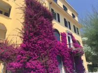 Monterosso