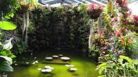 Mortella Garten