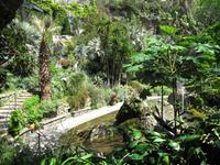 Mortella Garten