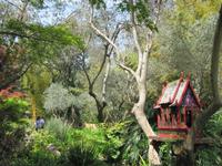 Mortella Garten