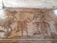 Mosaik Villa Romana