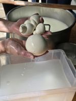 Mozzarella