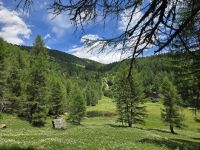 Natur rund um den Bergsee Covel