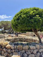 Nuraghe Palmavera