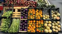 Obststamd bei Enno