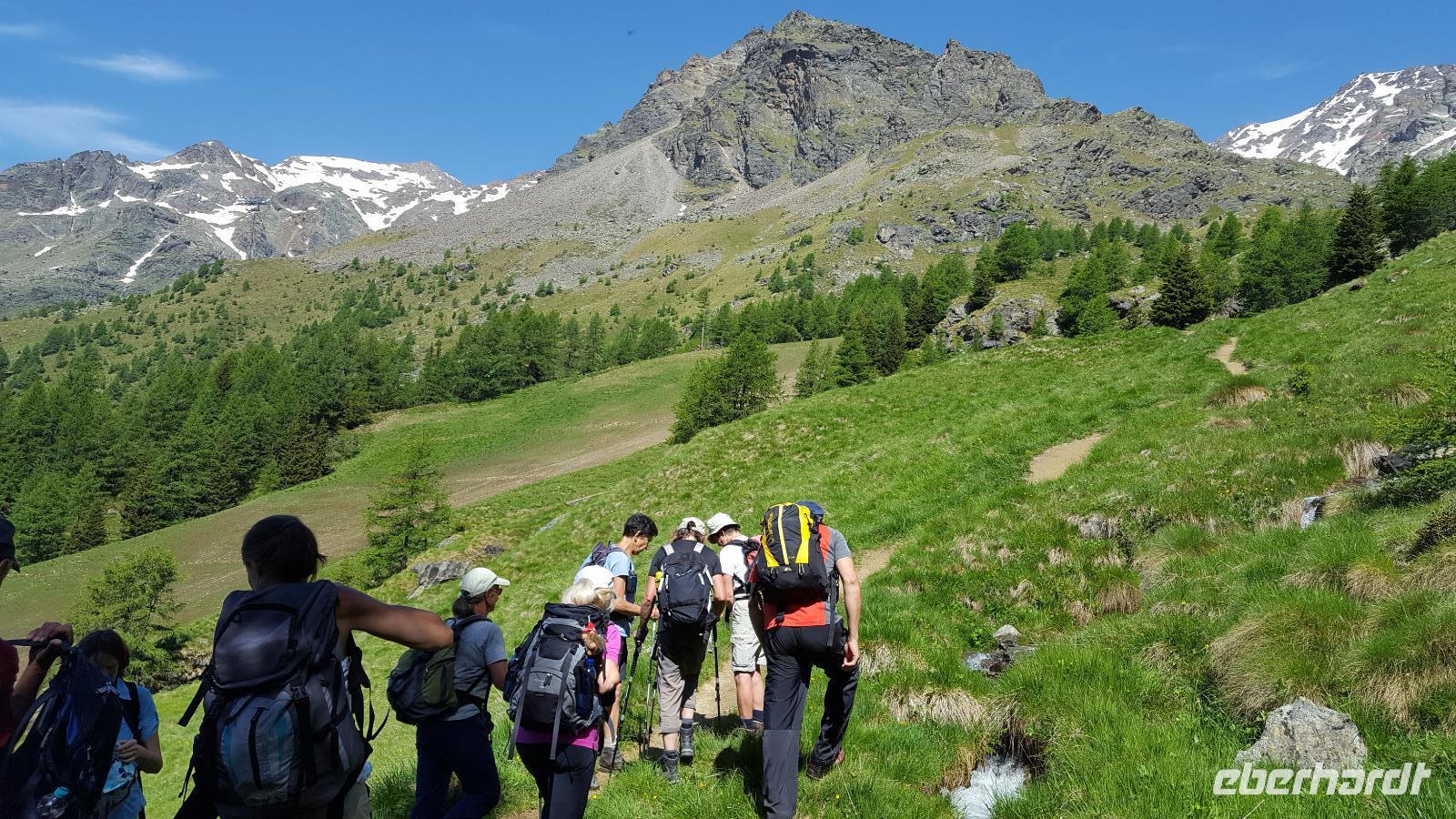 Ortler Gruppe