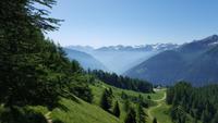 Ortler Gruppe