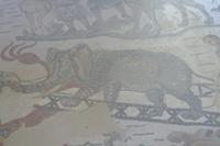 P1000989