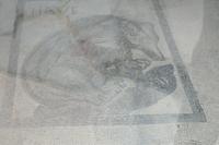 P1010036