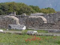 P1030372