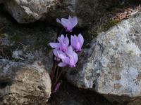 P1070121