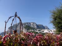 P1070611