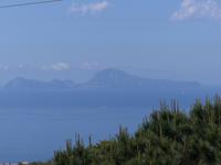P1110305