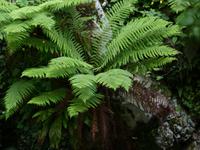 P1110549