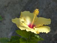 P1150687