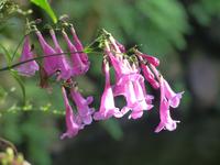 P1180200