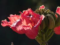 P1180243