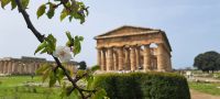 Paestum - Antike Stadt