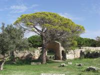 Paestum