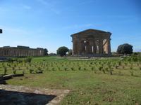 Paestum