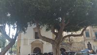 Palermo
