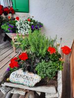 Para dai Giai - Hütte Gardenacia