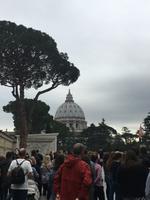 Petersdom