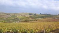 Piemont (Fahrt durch das Monferrato-Gebiet)