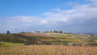Piemont (Fahrt durch das Monferrato-Gebiet)