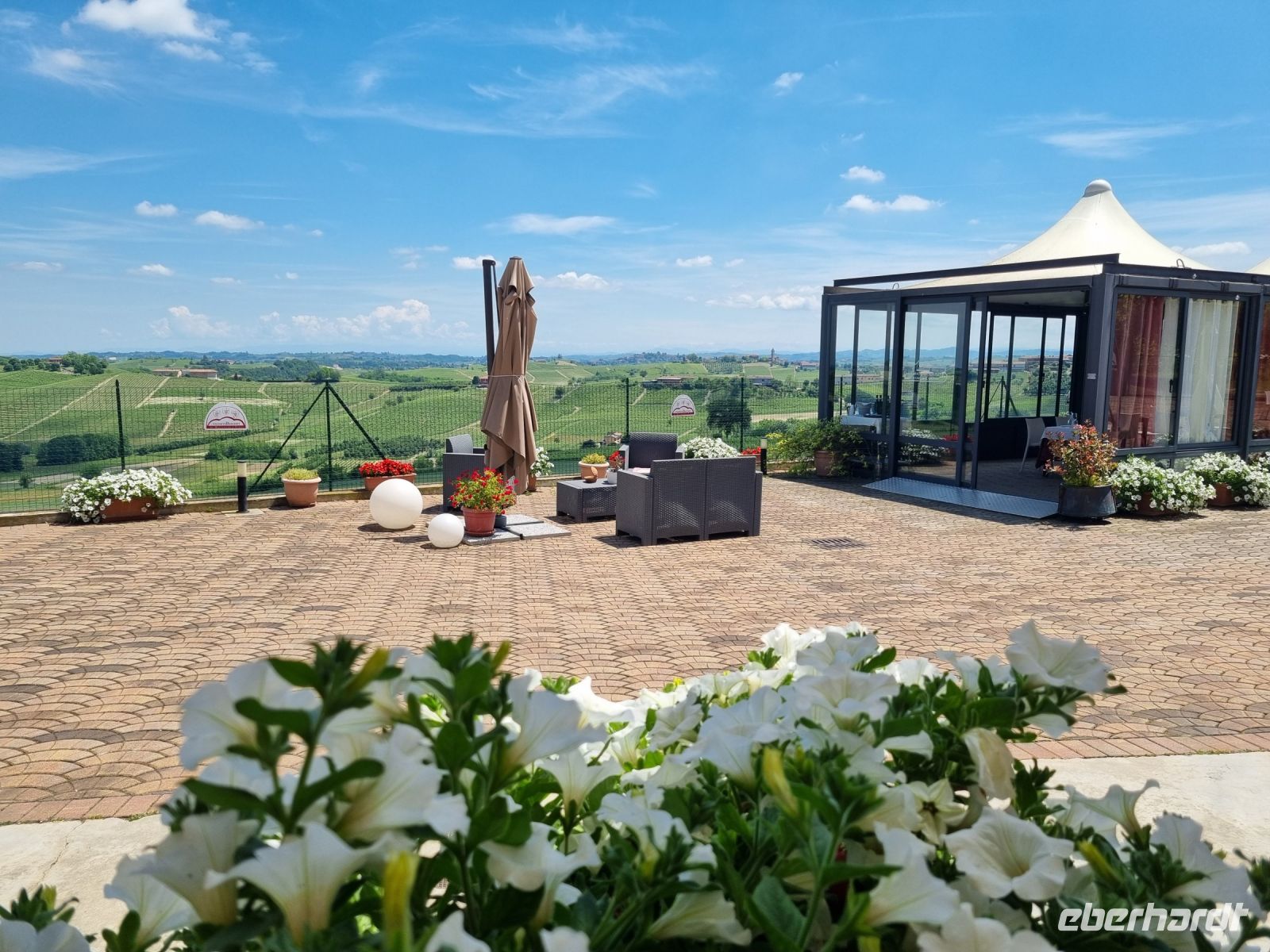 Piemont - Weingut 