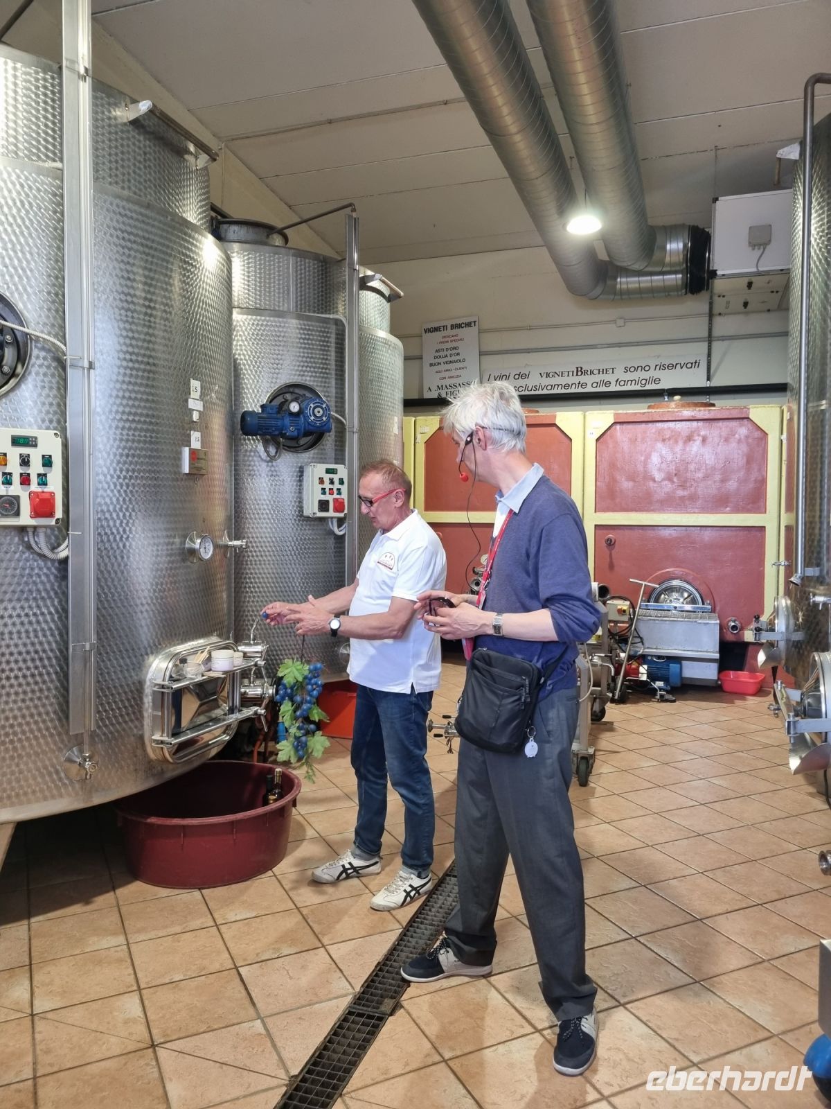 Piemont - Weingut 