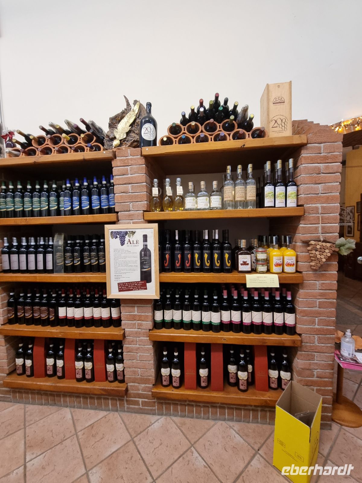 Piemont - Weingut 