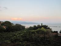 Pioppi