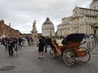 Pisa, Blick auf Piazza dei Mircoli