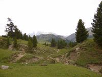 Plätzwiese