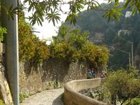 Pontone im Herbst 3