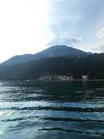 Portese