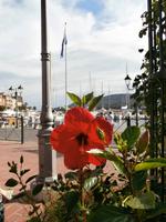 Porto Azzuro Elba