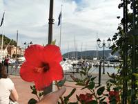 Porto Azzuro Elba